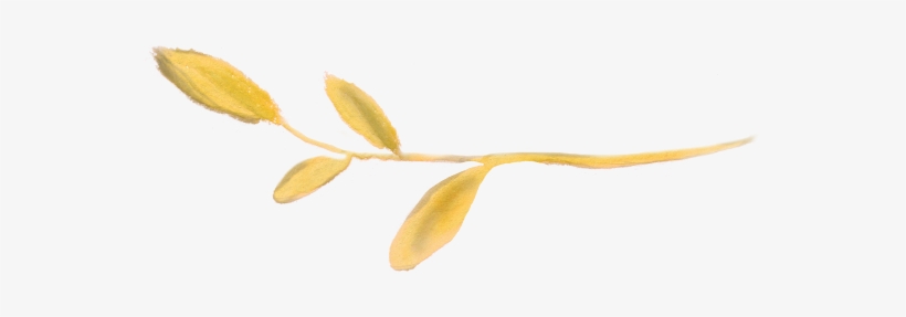 Flowers Flower Floral Watercolor Watercolors - Flower, transparent png download