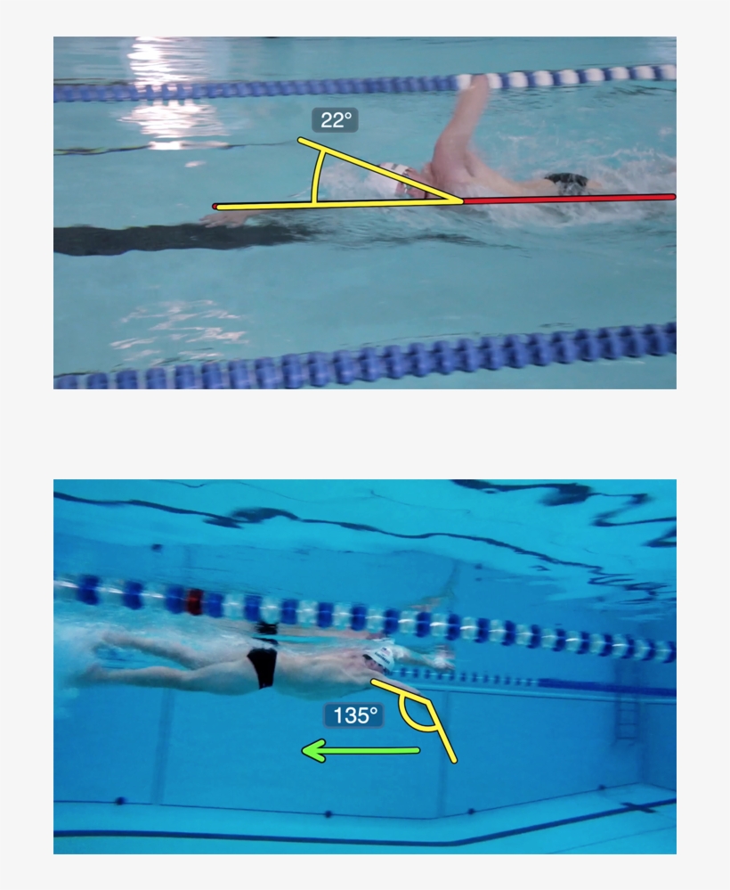 Train Like A Champion - Freestyle Swimming, transparent png download
