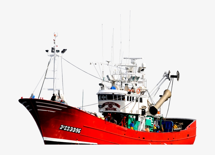 Fish Hook Png Images Free Download - Fishing Ship Png, transparent png download