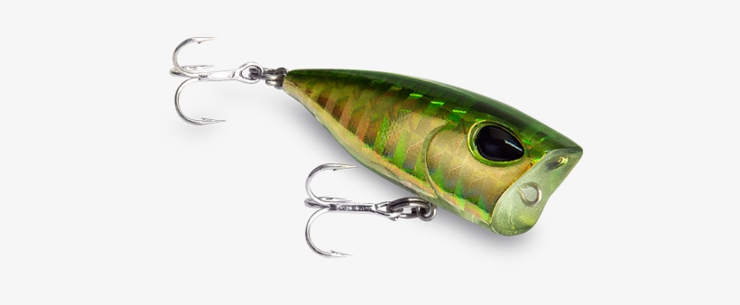 Gpo40 - Gomoku Popper, transparent png download