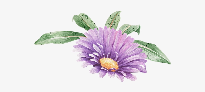 Thank God For The Opportunity For Them To Learn Swimming - Prichard Colón, transparent png download