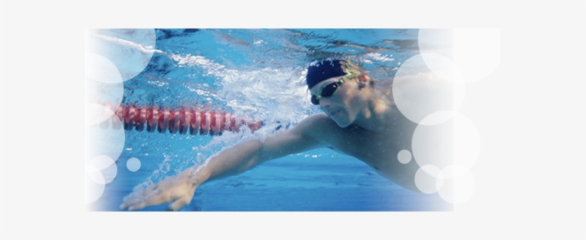 Swimmer - Freestyle Swimming Technique, transparent png download