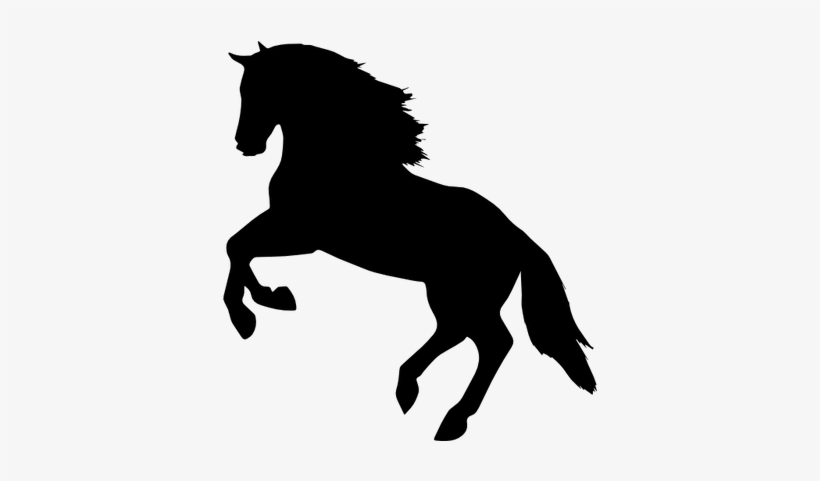 Picture Library Stock Silhouette Images At Getdrawings - Horse Silhouette Transparent Background, transparent png download