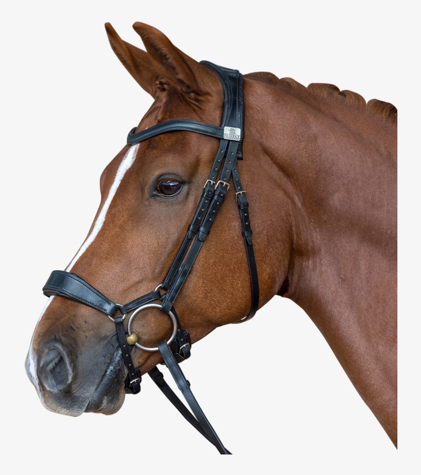 The Fairfax Performance Bridle - Fairfax Bridle, transparent png download