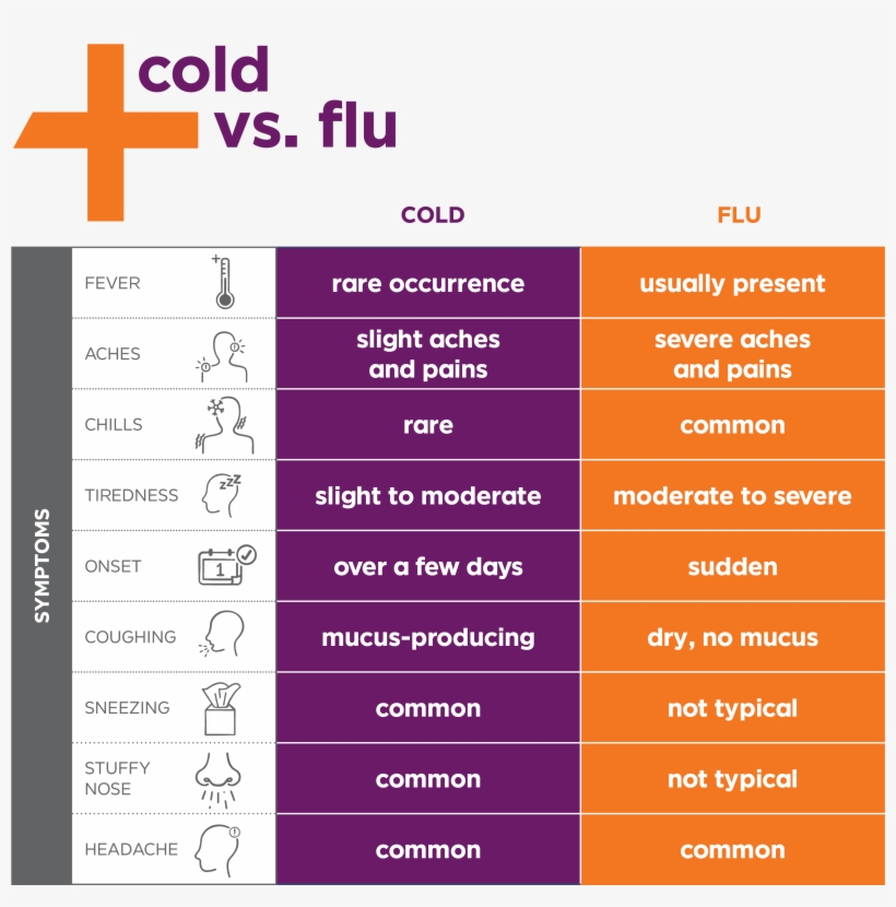 Learn The Difference - Cold Vs Flu, transparent png download