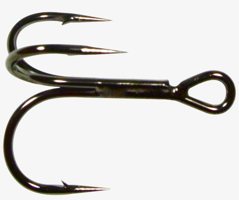 Fish-field, transparent png download