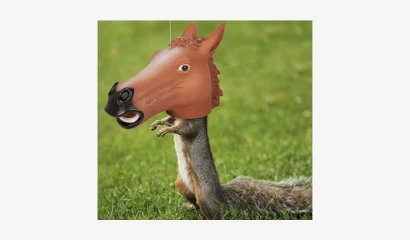 Horse Head Squirrel Feeder - Squirrel Horse Head, transparent png download