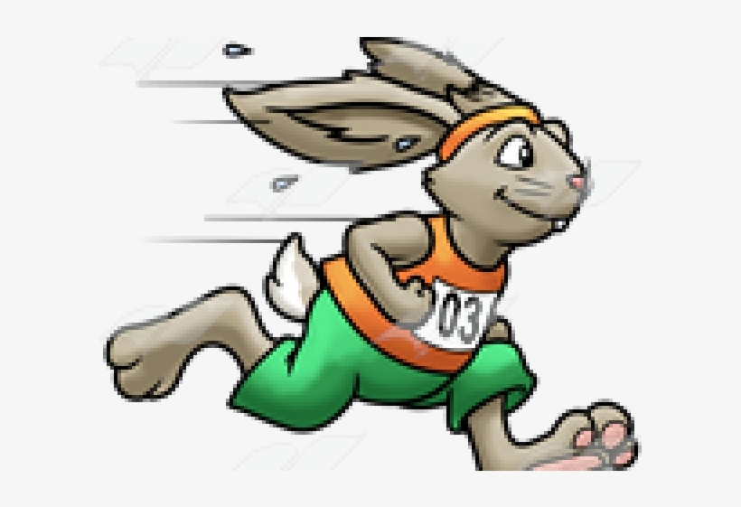 Hare Free On Dumielauxepices Net Rabbit Race Png PNG Image