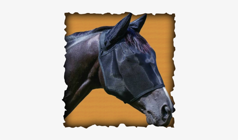 Fly Mask Article - Fly Mask, transparent png download