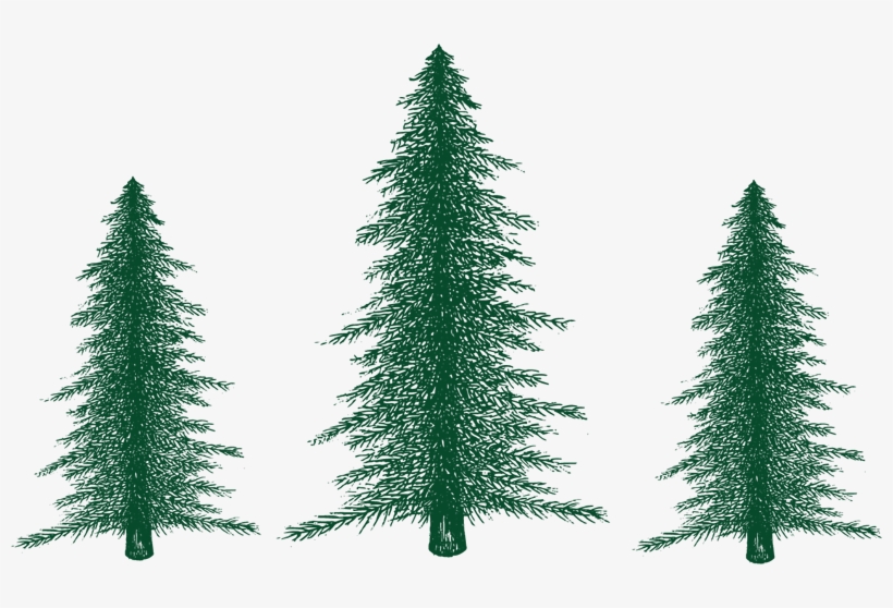 Christmas Trees - Christmas Tree, transparent png download