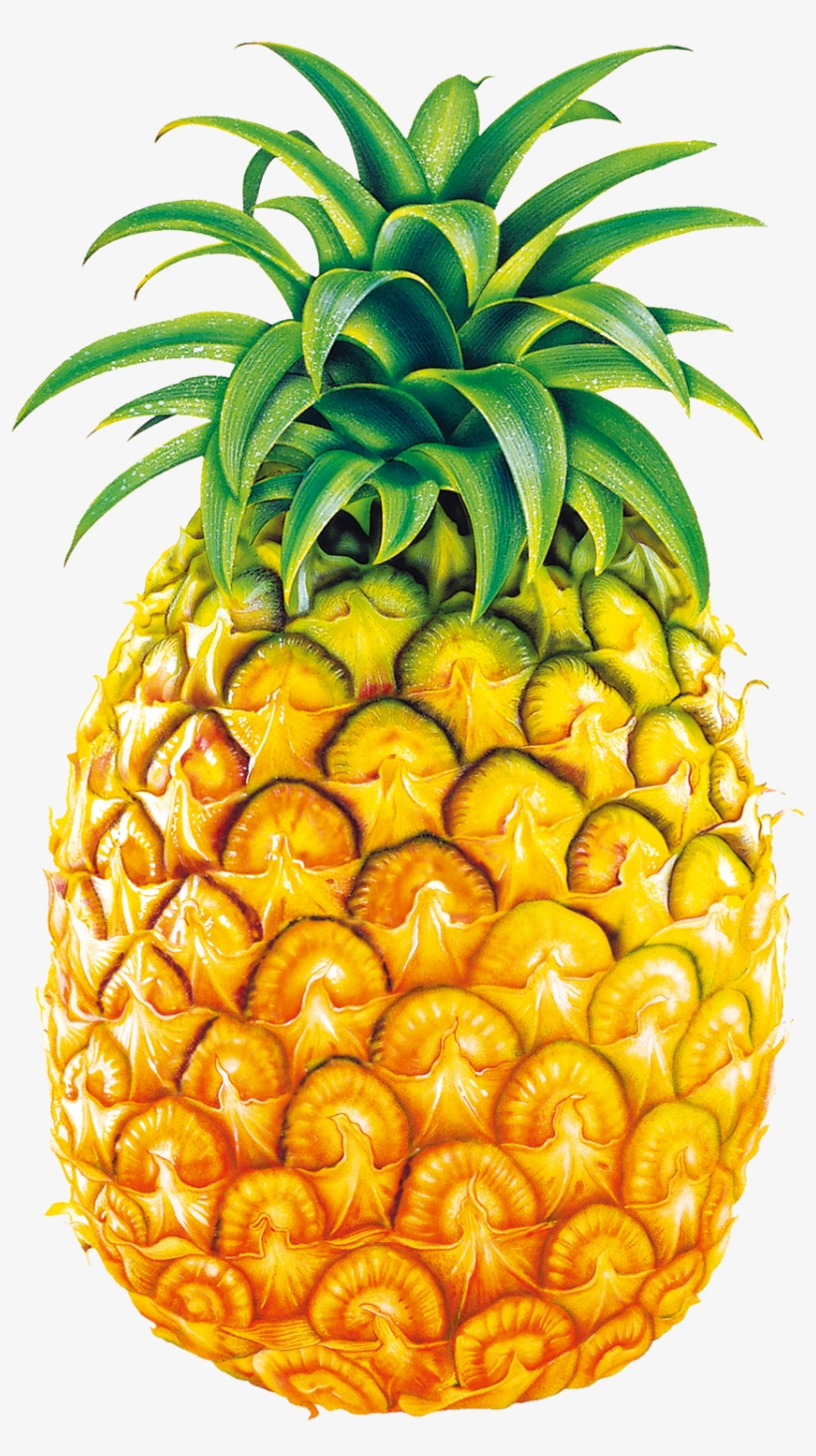 Download Svg Royalty Free Juice Fruit Bromelain Clip Art Big Legend Of Pineapple Summary Png Image Transparent Png Free Download On Seekpng