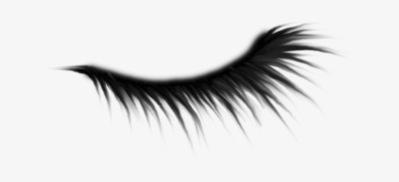 3 - Photoscape, transparent png download