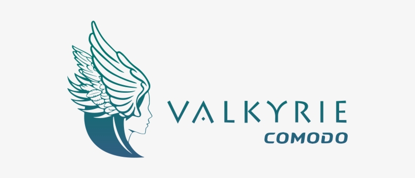 These Detectors Include Binary Level Analysis, Dll - Valkyrie Logo Comodo, transparent png download