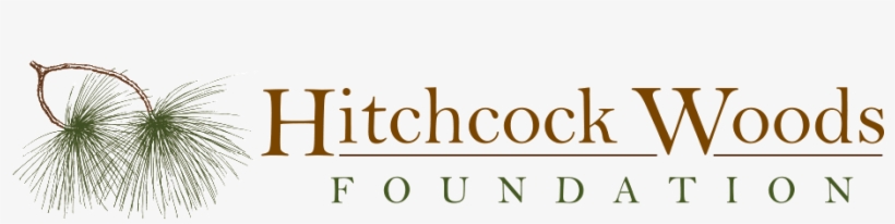 Railroad Tracks Belonging To The South Carolina Canal - House Painter And Decorator, transparent png download