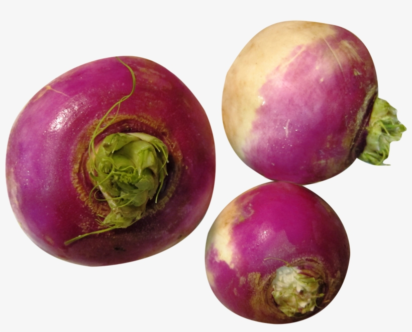 Free Png Turnip Png Images Transparent - Rutabaga Png, transparent png download