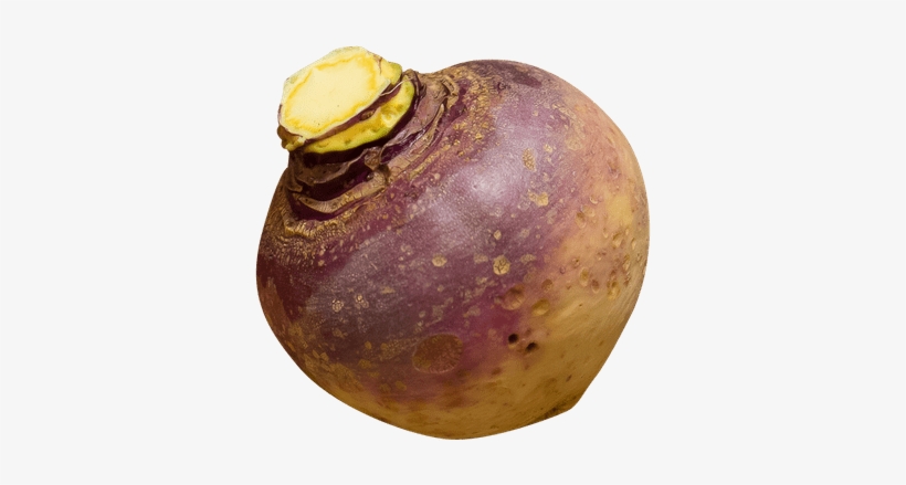 Swedish Turnip - Rutabaga Png, transparent png download