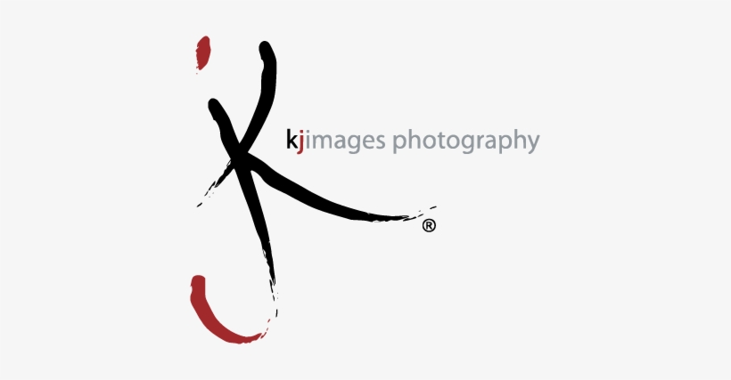 Harley Quinn Cosplay Photoshoot - Harley Quinn, transparent png download