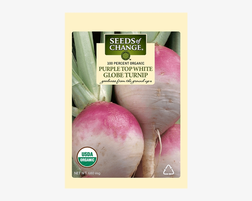 Organic Purple Top White Globe Turnip Seeds - Seeds Of Change Quinoa & Brown Rice, transparent png download