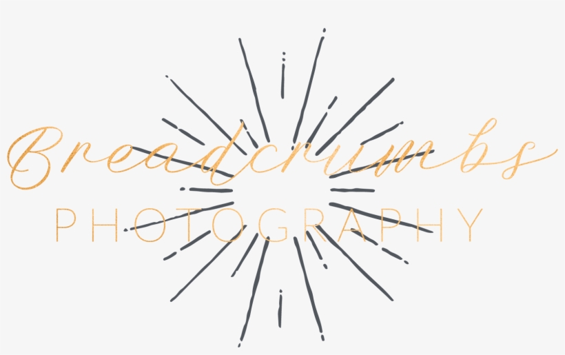 Cropped Bp Logo 04 U2013 Breadcrumbs Photography - Circle, transparent png download