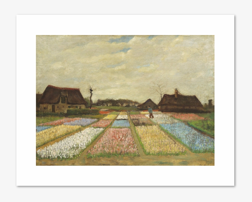 Flower Beds In Holland By Vincent Van Gogh Archival - Home World Famous Wall Paintings, transparent png download
