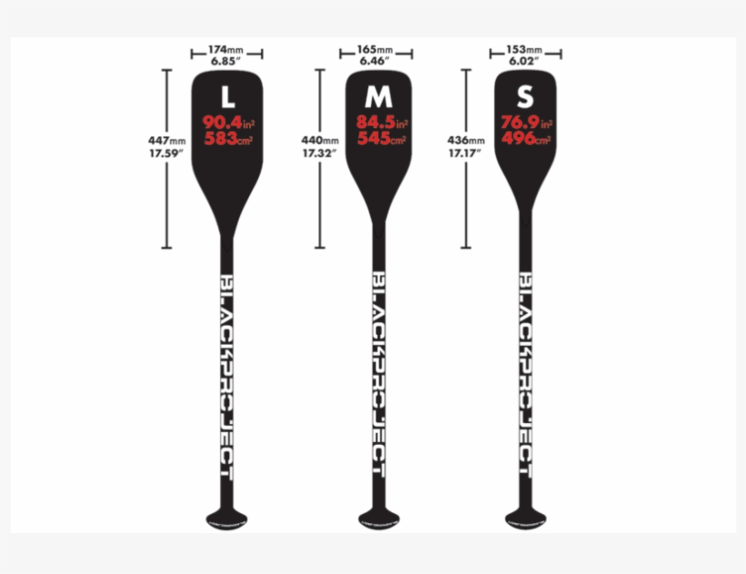 Black Project Hydro Race Paddle Blade Size Comparison - Champagne Stemware, transparent png download
