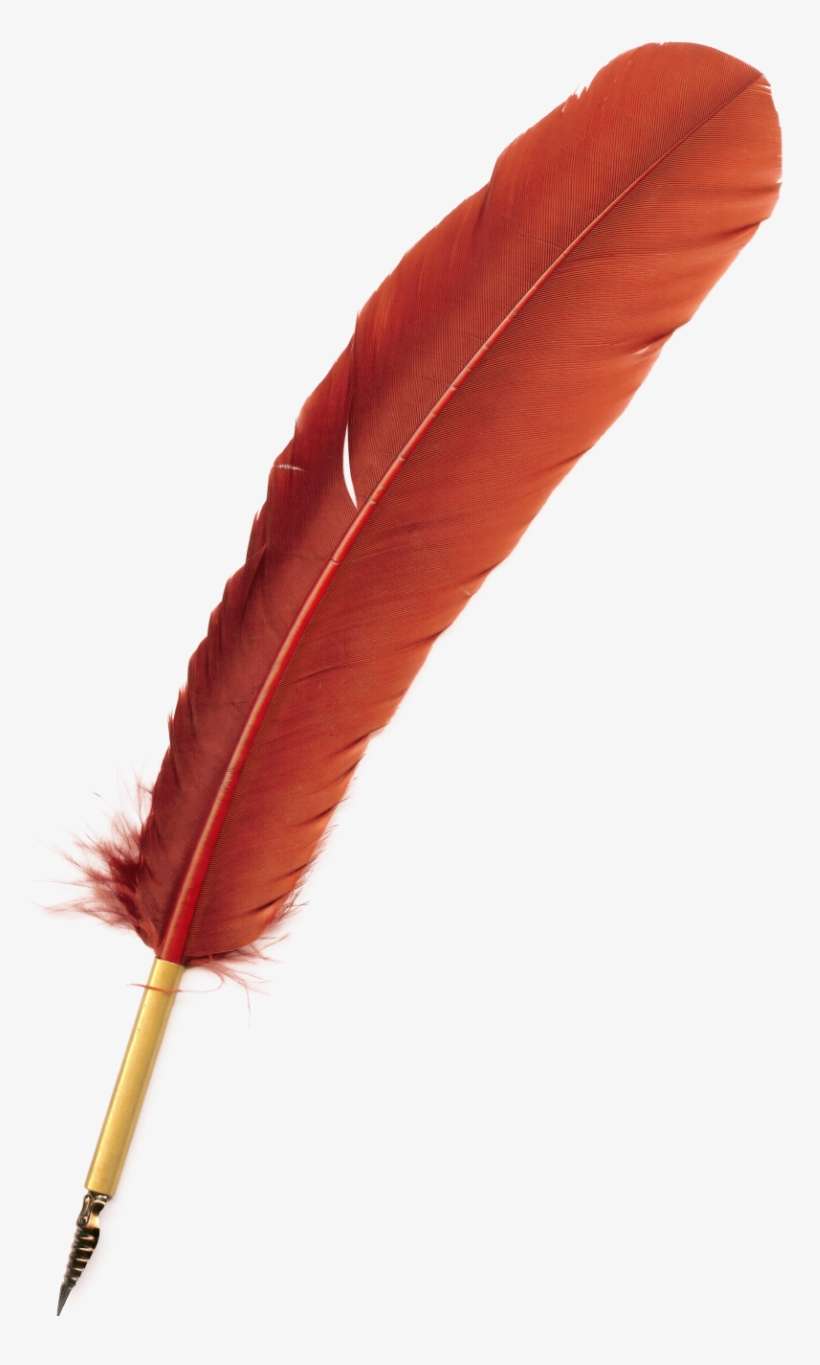 Estas Imágenes Para Imprimir Son Exclusivamente Para - Plumas De Aves Rojas, transparent png download