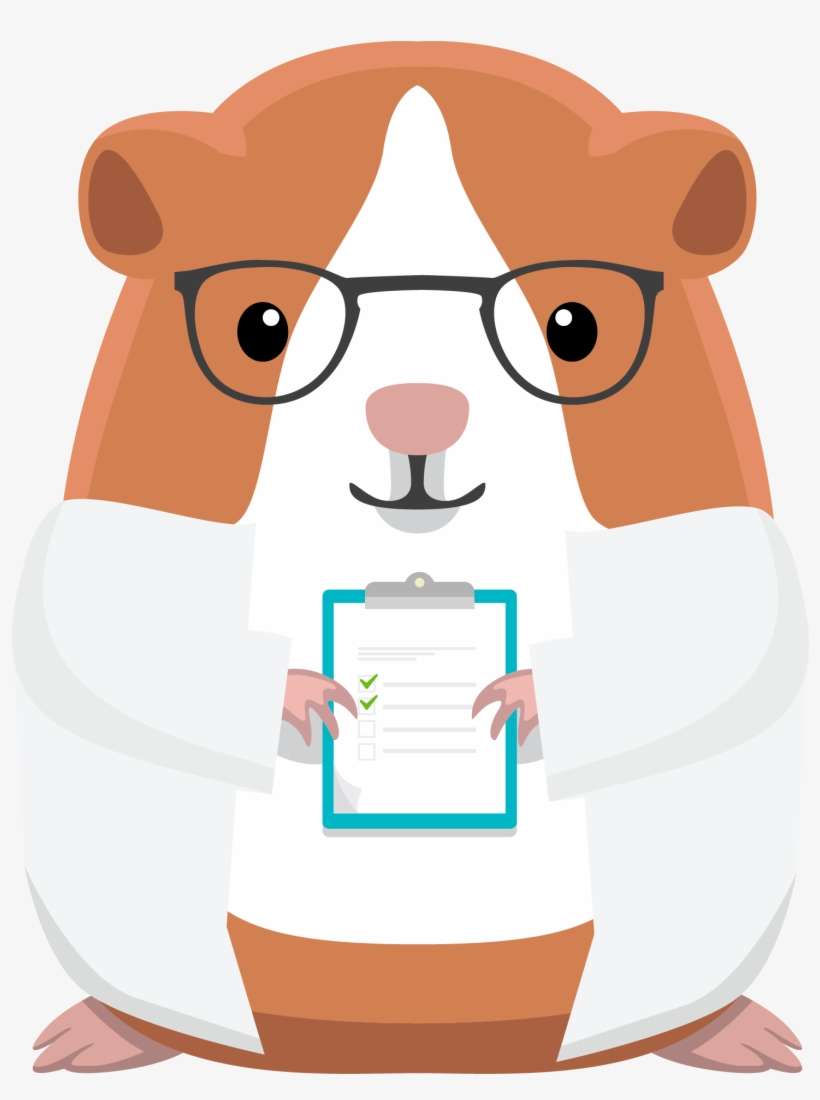 Explore - Conejillo De Indias Animacion, transparent png download