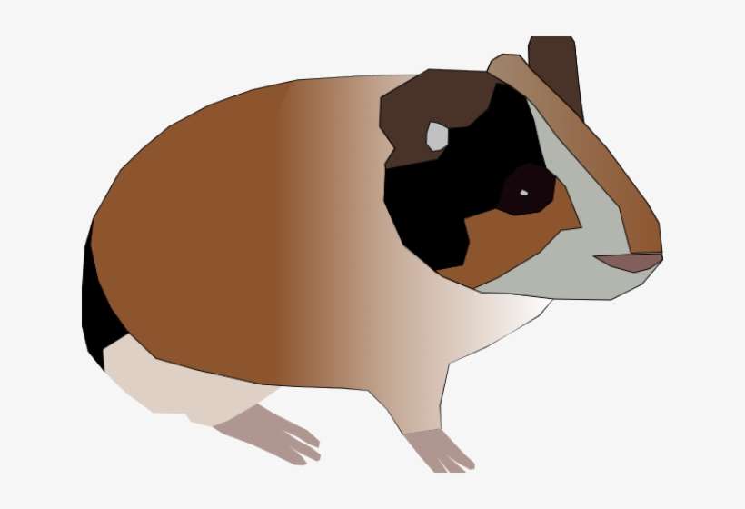 Guinea Pig Clipart Brown - Guinea Pig, transparent png download