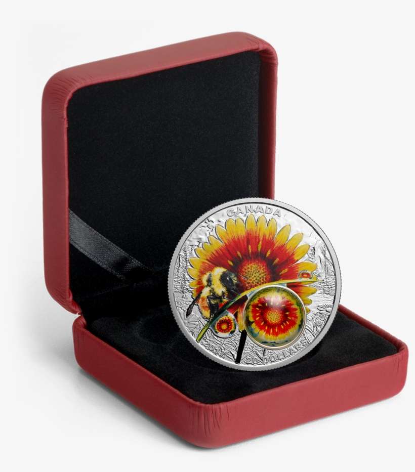 Tomei X Royal Canadian Mint Silver 9999 "2017 Mother - 1 Oz Fine Silver Coin Red Trillium S 2014, transparent png download