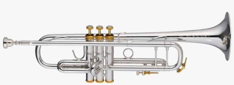 1000 X 800 6 - Gold And Silver Trumpets, transparent png download