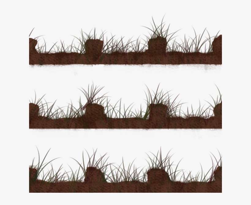 Grass, transparent png download