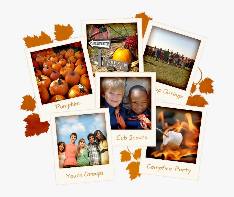 Group Outings - Pumpkin, transparent png download