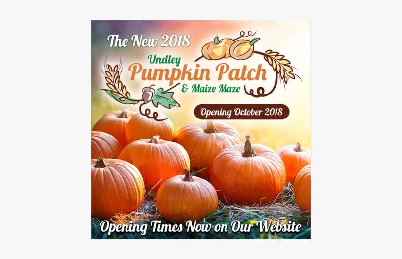 ‹ › × - Pumpkin, transparent png download