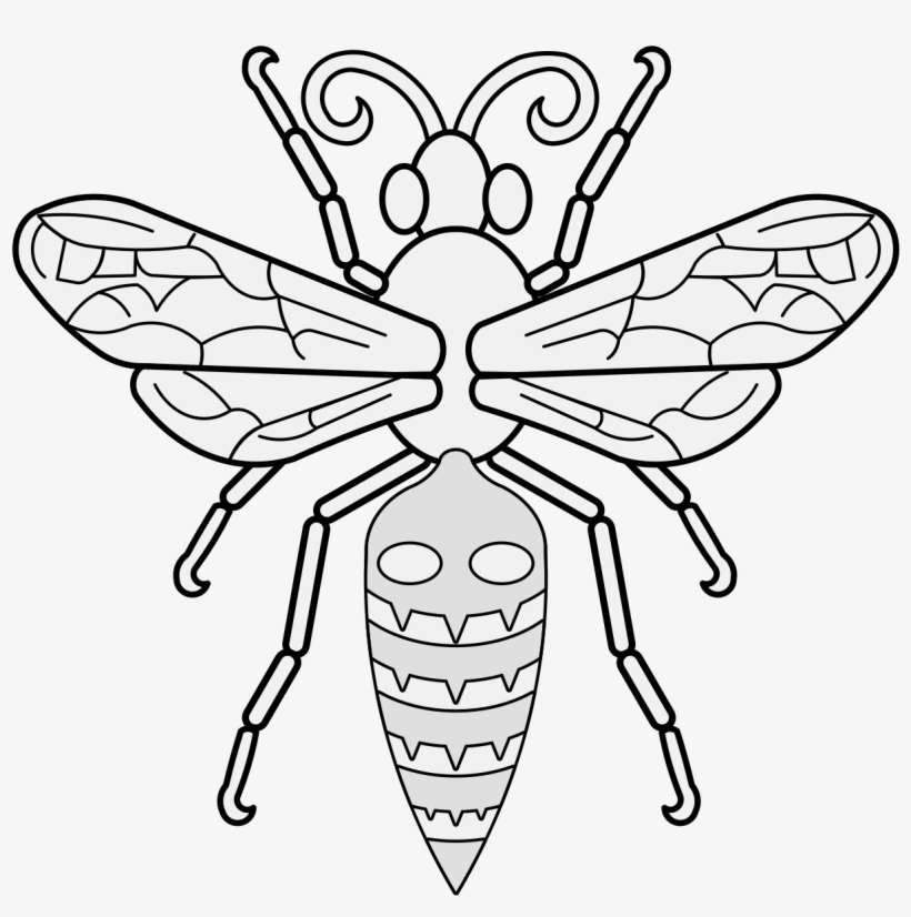 Details, Png, Svg - Hornet, transparent png download