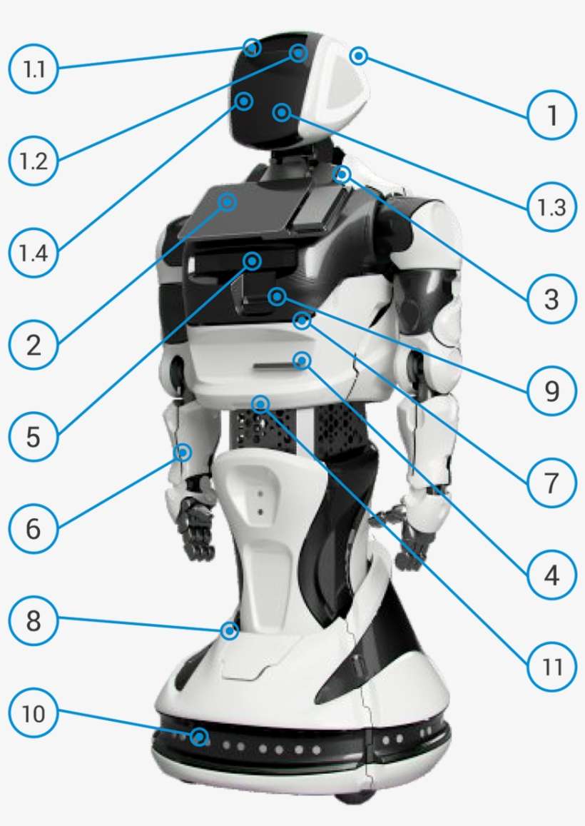 Head Of The Robot - Robot, transparent png download