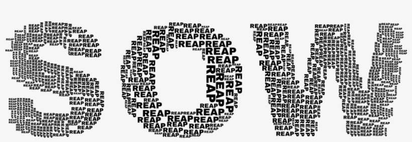 Amazon Deal - Circle, transparent png download