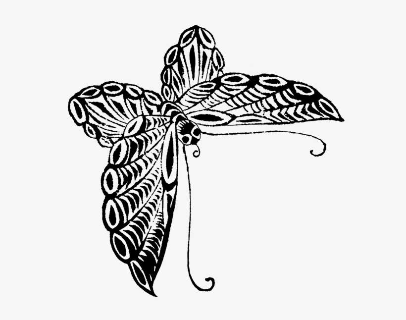 Butterfly Sketch Japanese - Leaves Png Sketches, transparent png download