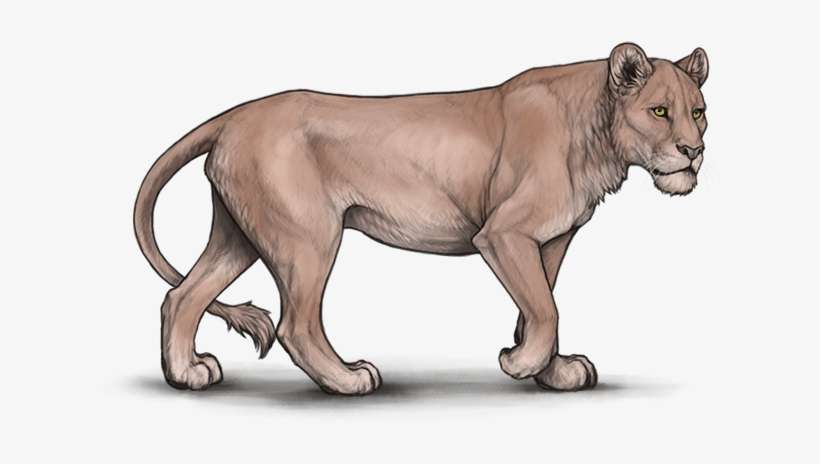 Qcqvowc - Parhelion Body Lioden, transparent png download