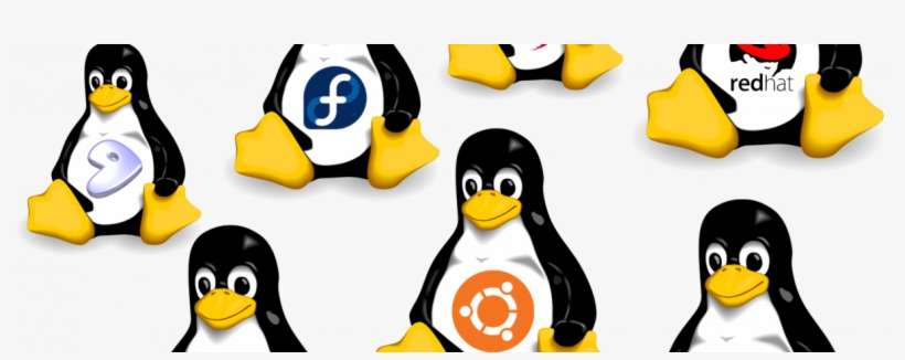 Things You Need To Know About Linux - Linux, transparent png download