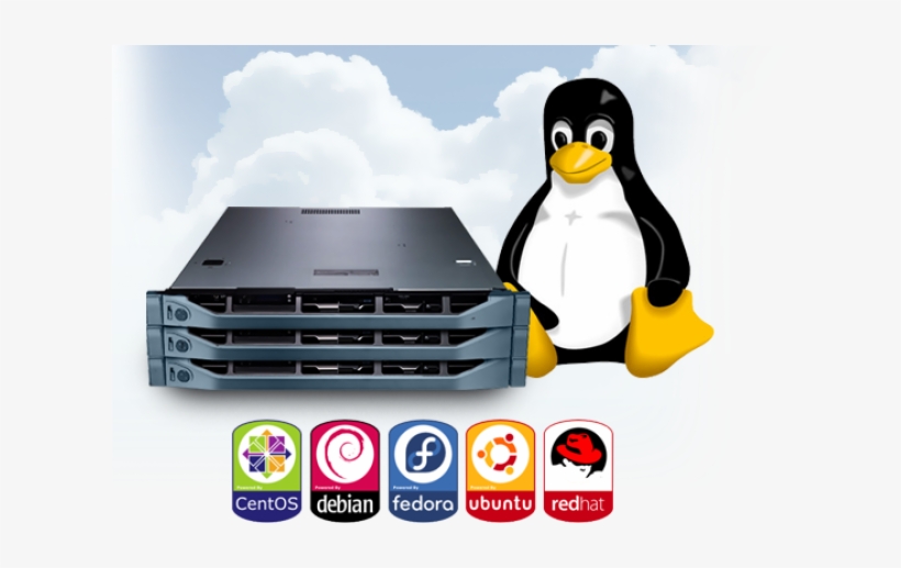 Linux Hosting Clipart Hosting Png - Vps Linux, transparent png download