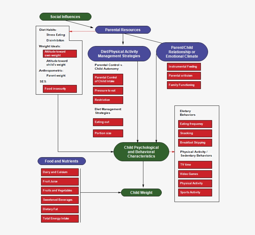 Prevención Y Tratamiento De La Obesidad Infantil - Ejemplo Metodo Ancla En Salud, transparent png download