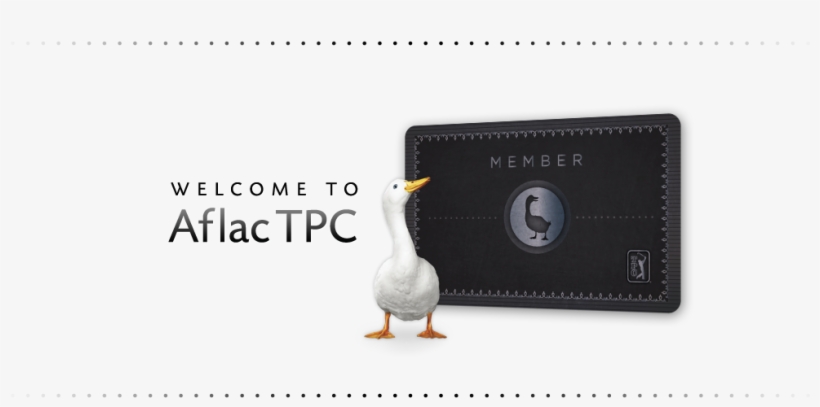 Contact - Duck, transparent png download