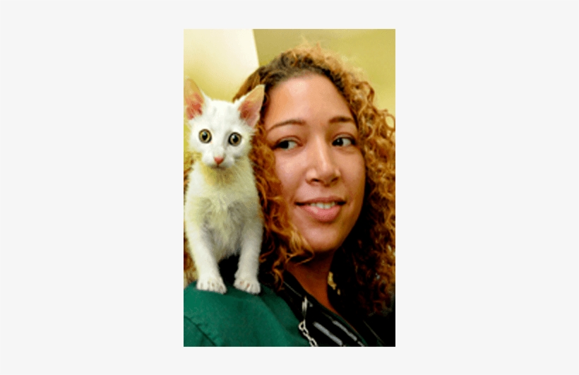 Doctor Christina East At Riverside Animal Hospital - Kitten, transparent png download