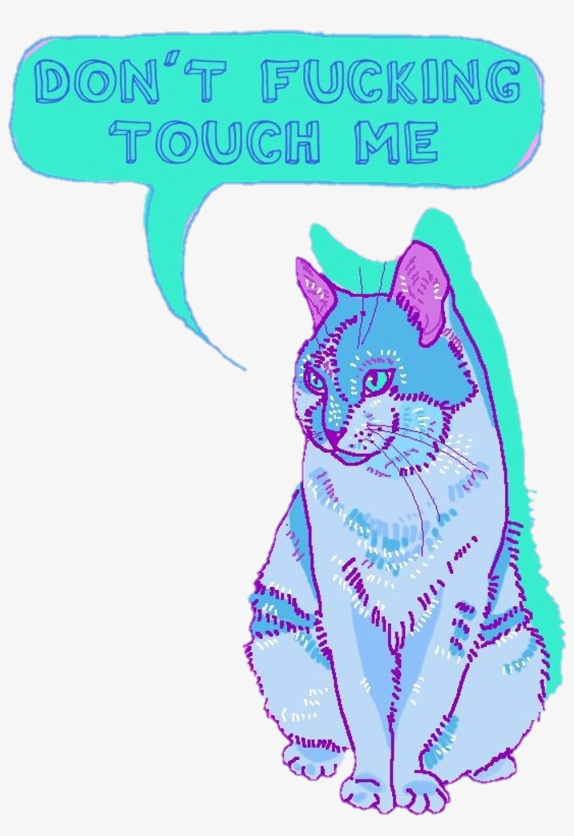 Report Abuse - Dont Fucking Touch Me Cat, transparent png download