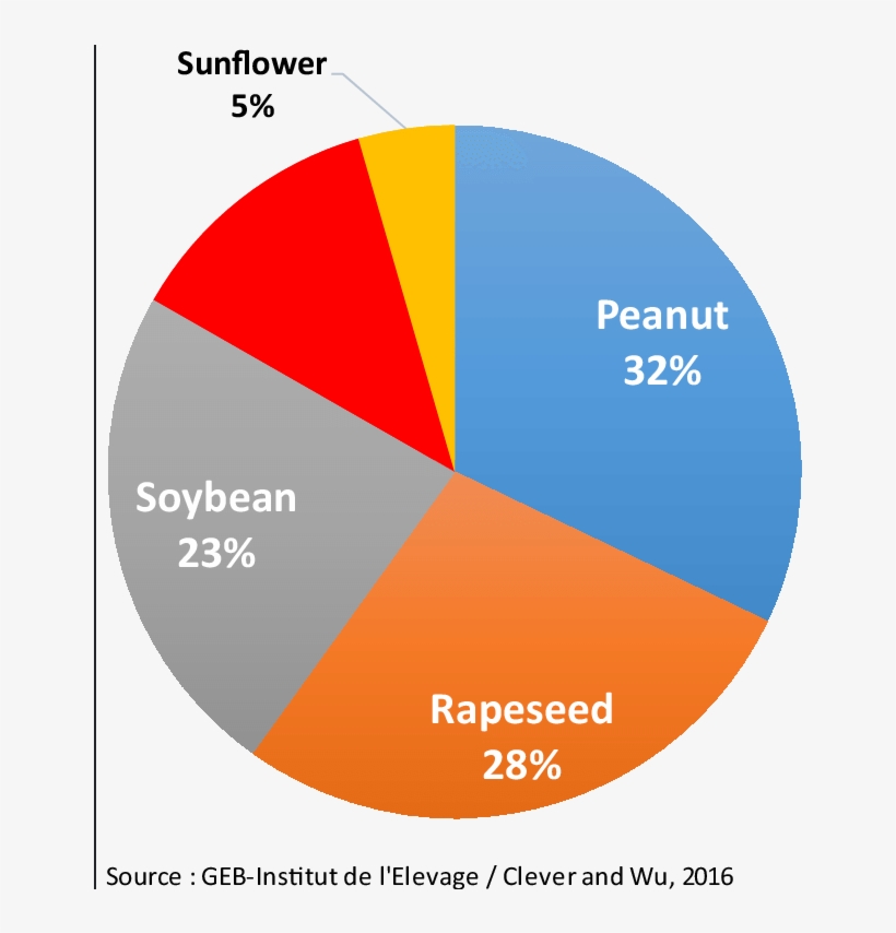 Principal Oilseed Production In China - Diagram, transparent png download