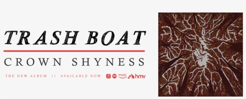 End-out - Plywood, transparent png download