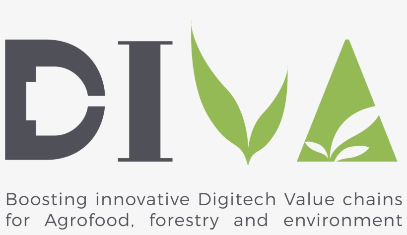 Category - Graphic Design, transparent png download