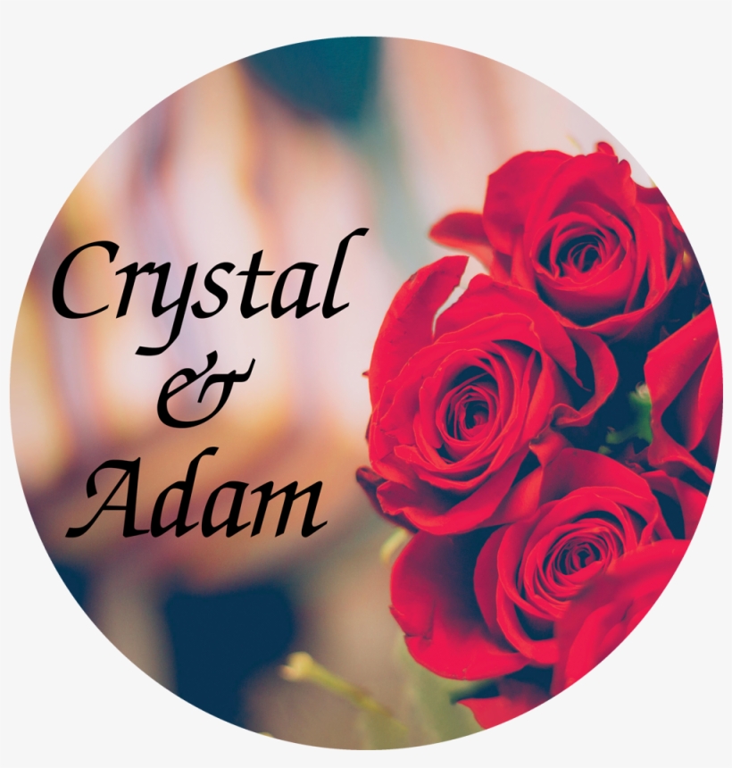 Cg2 Shown With Font - Rose Good Morning Hd, transparent png download