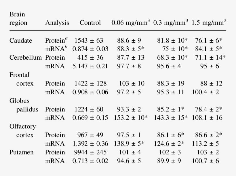 Glt-1 Protein And Mrna In Monkeys Following Mn Inhalation - Number, transparent png download