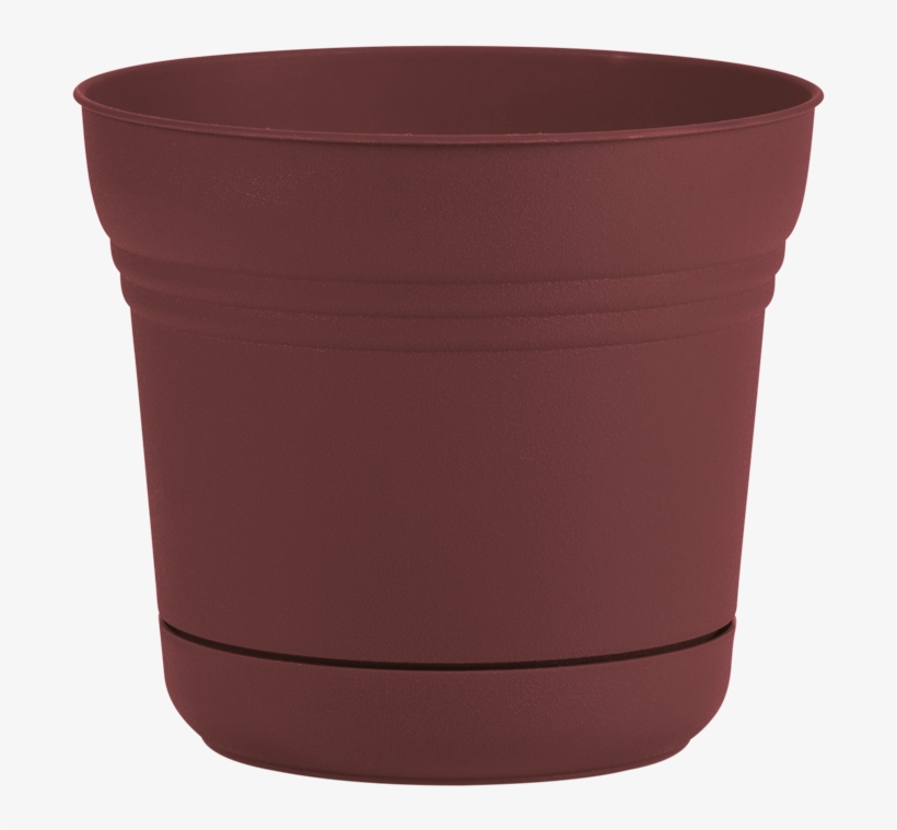 Plastic Bottle Ka Flower Pot Flowers Healthy Saturn - Flowerpot, transparent png download
